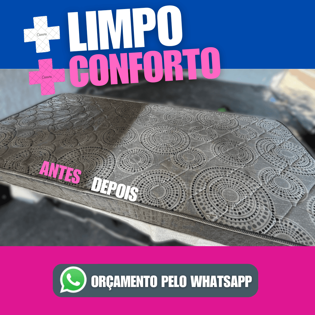 Lavagem a seco e higienização