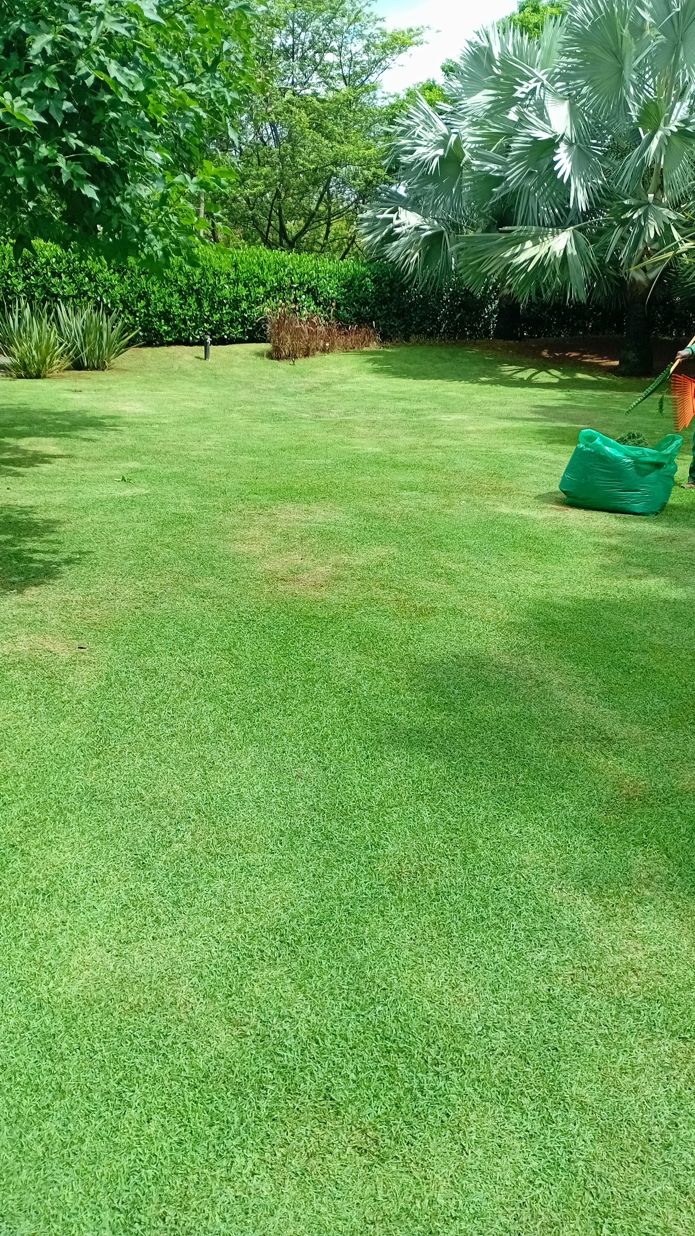 Jardinagem