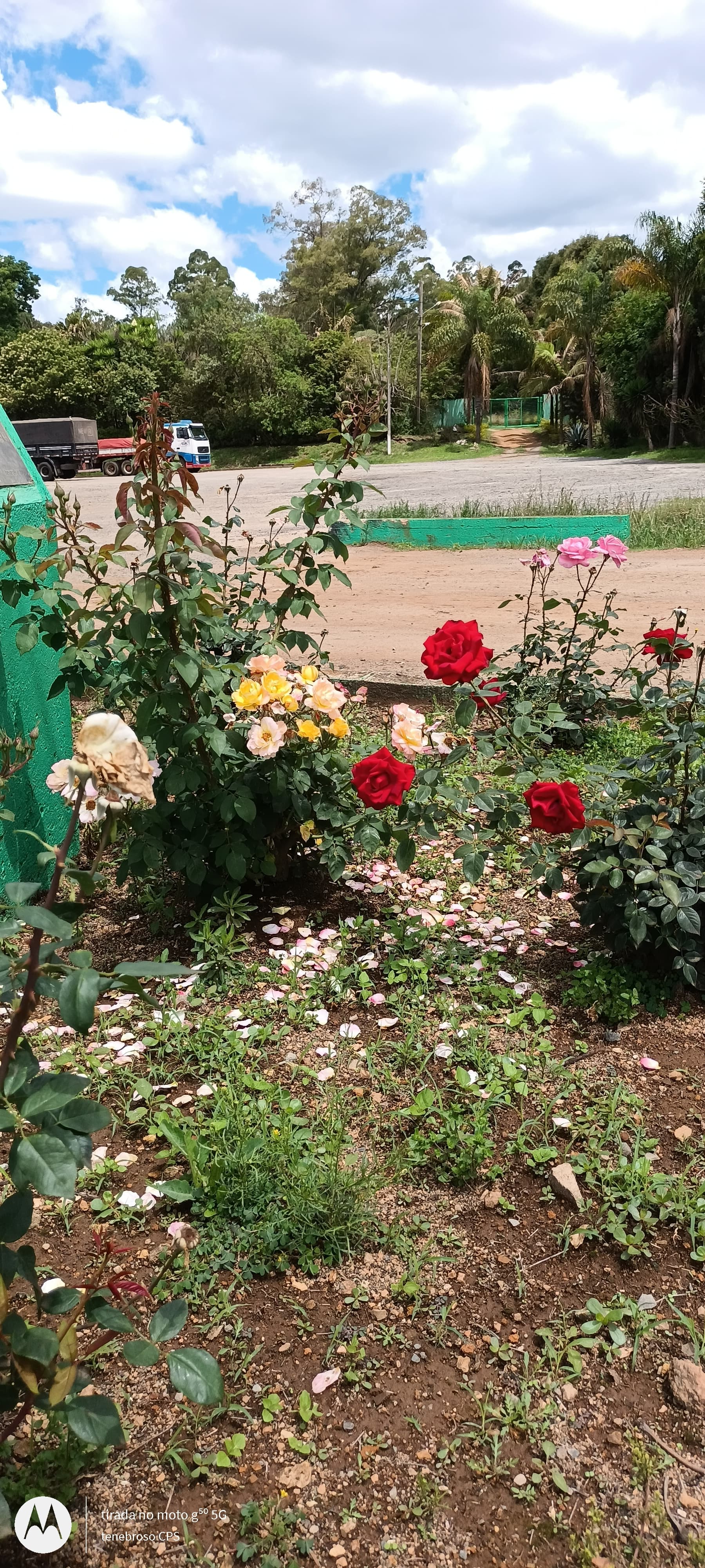 Jardinagem & serralheiro