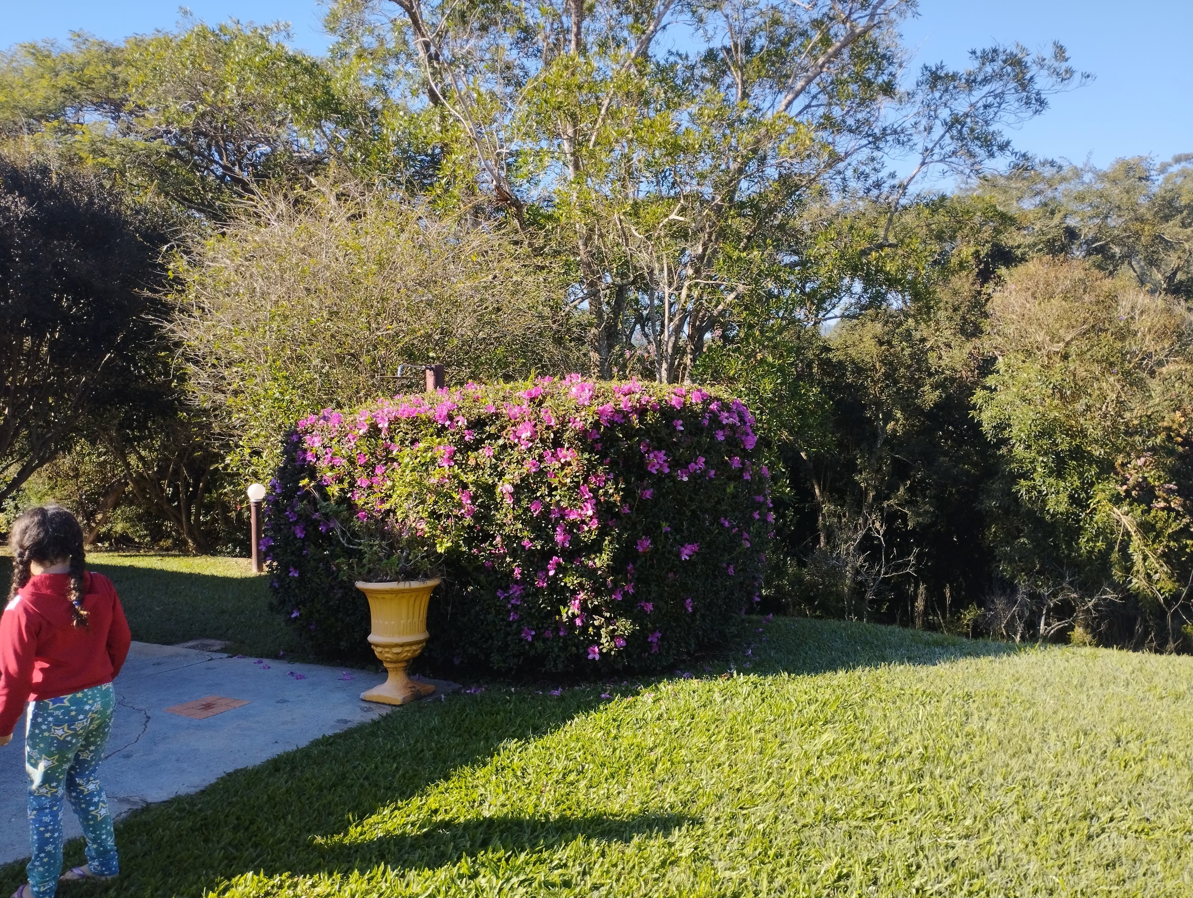 Jardineiro